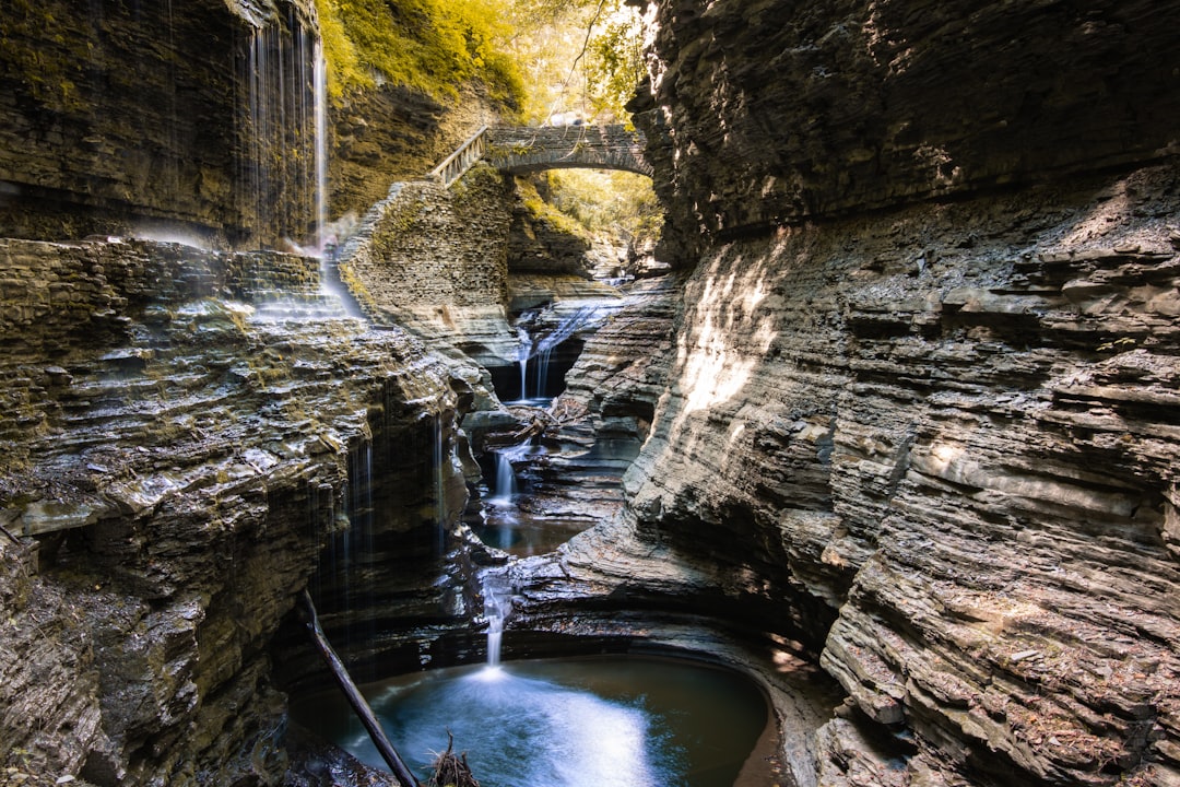 Watkins Glen