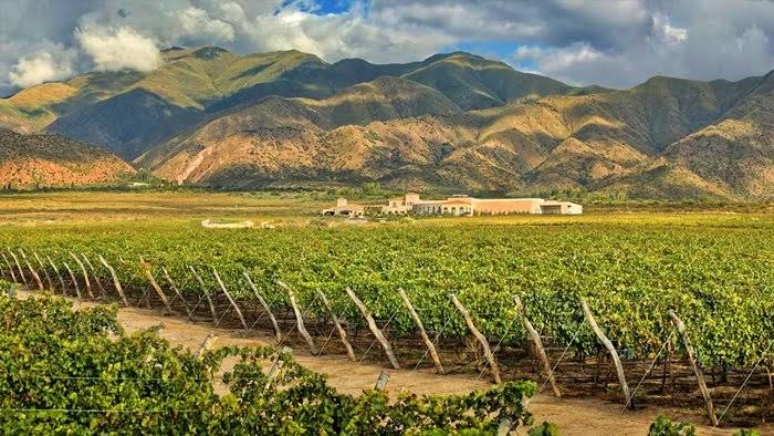 Cafayate