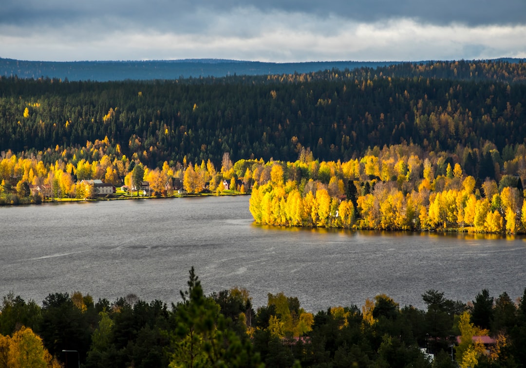 Rovaniemi