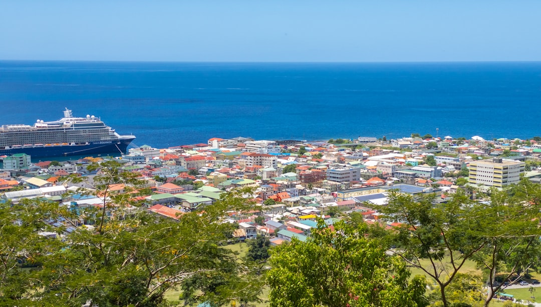 Roseau