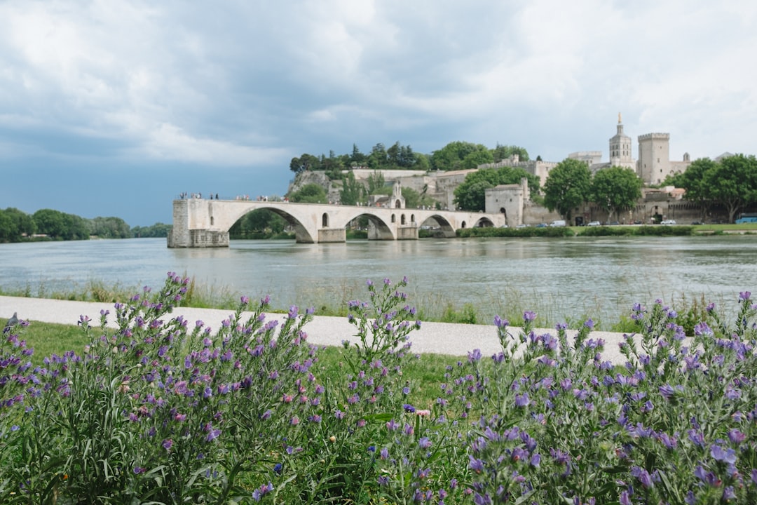 Avignon
