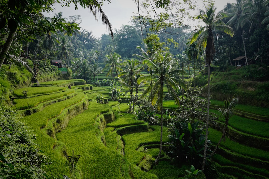 Ubud (Bali)