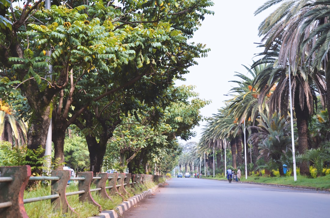 Amhara