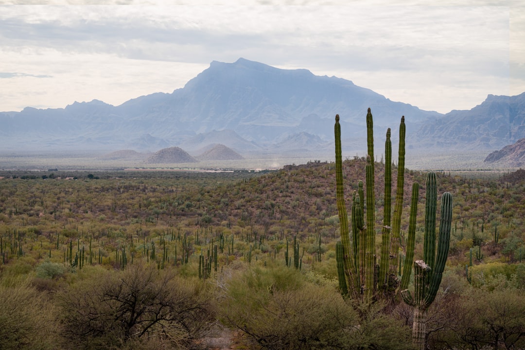 Baja California Sur