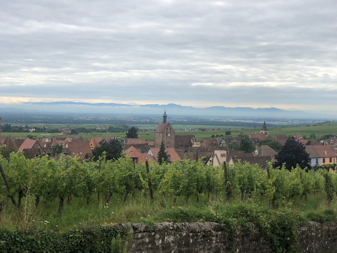 Elsass