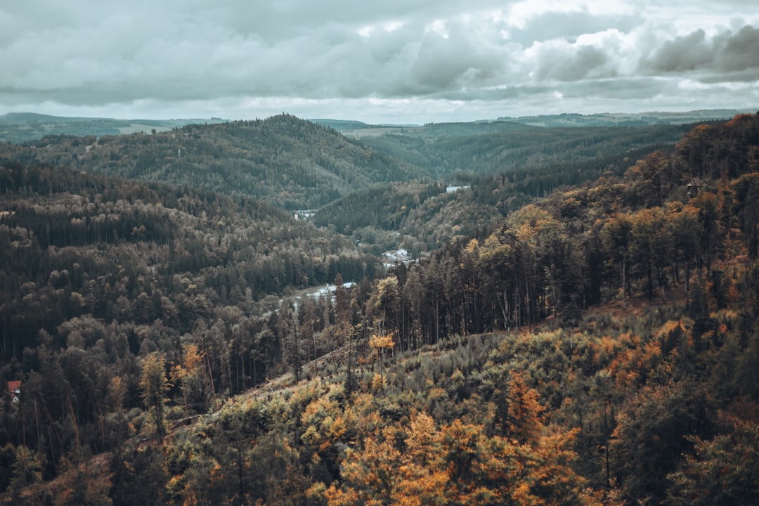 Região de Karlovy Vary