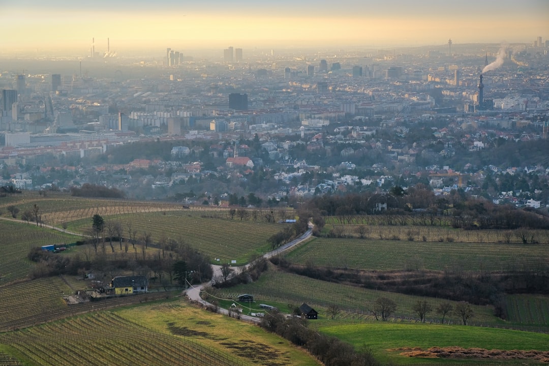 Viena