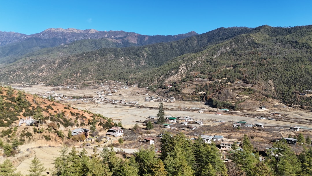 Paro