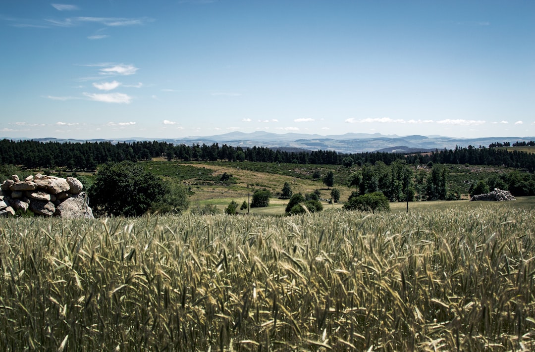 Occitanie