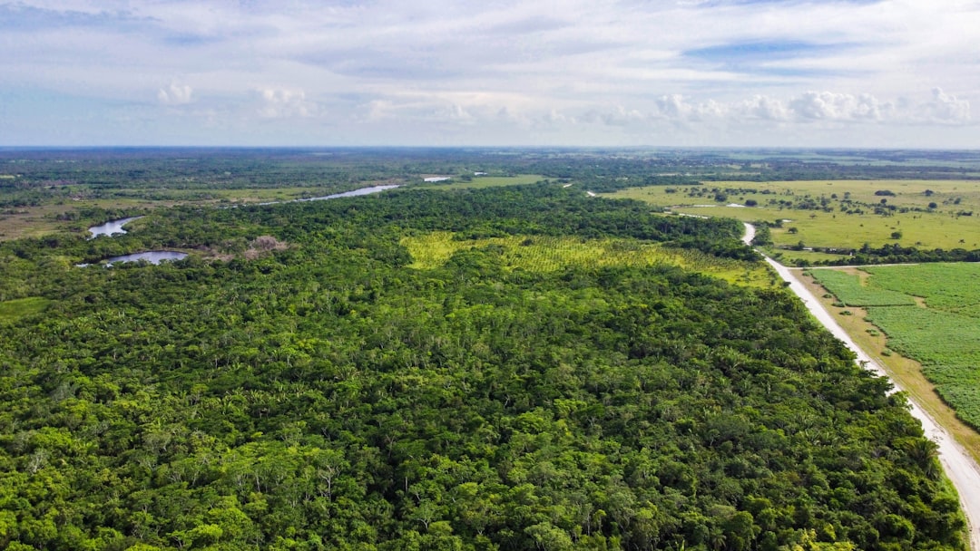 Belize (distrito)