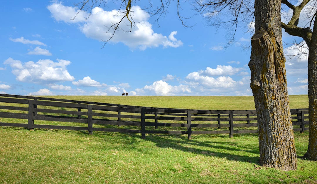 Kentucky