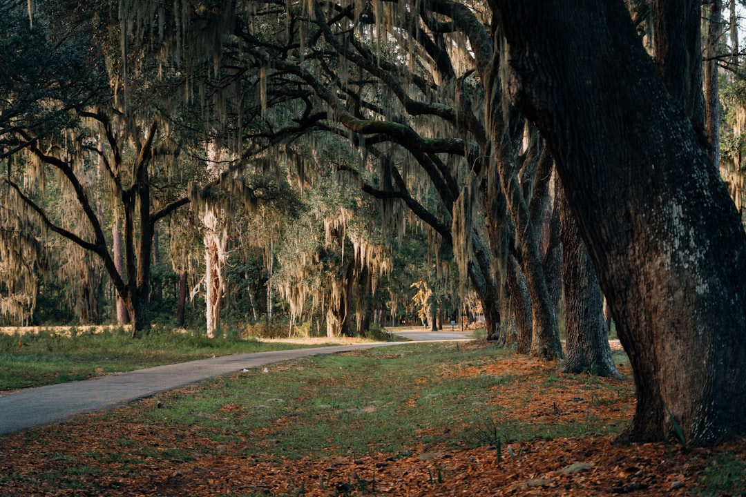 South Carolina