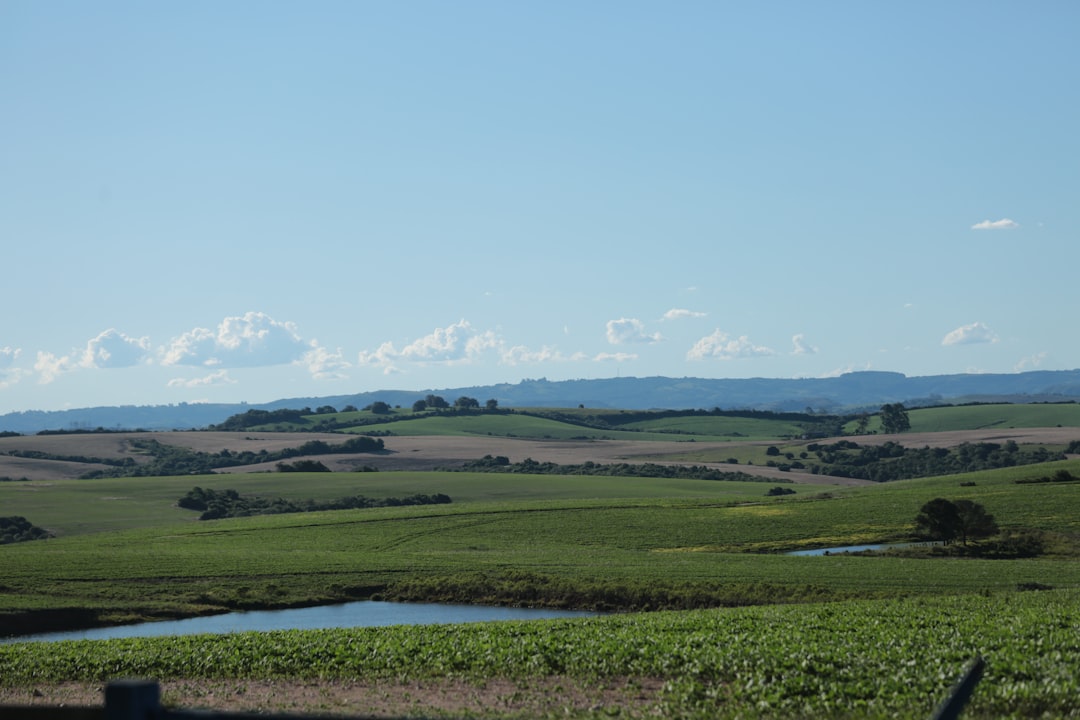 Rio Grande do Sul