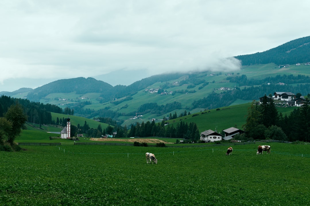 Tirol