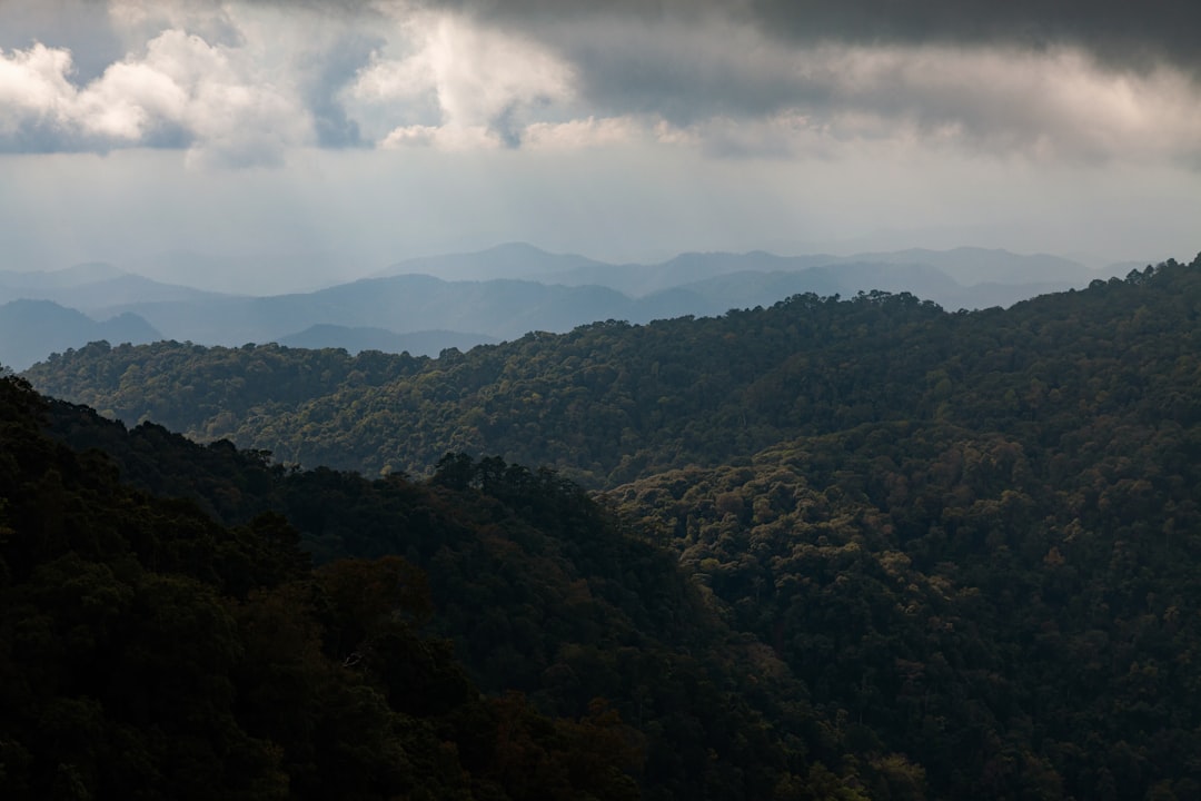 Chiang Mai