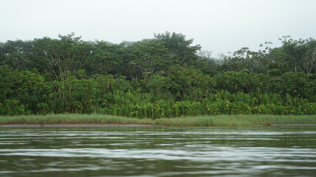 Amazonas