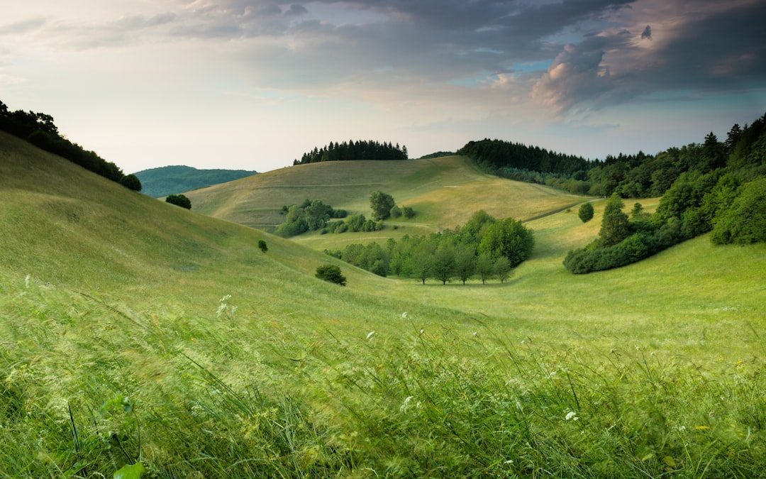 Mures