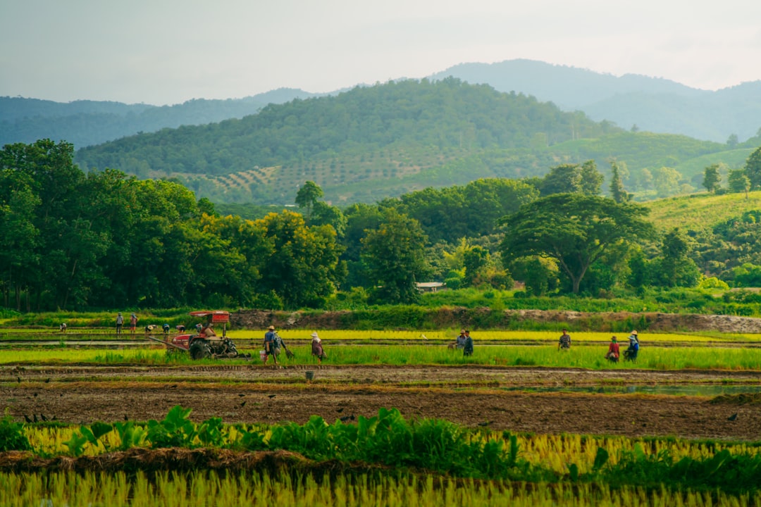 Chiang Rai