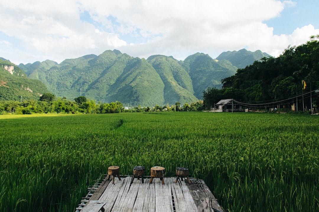 Thua Thien Hue
