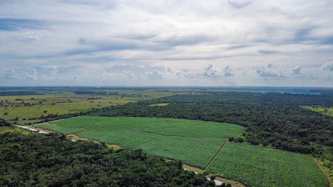Belize