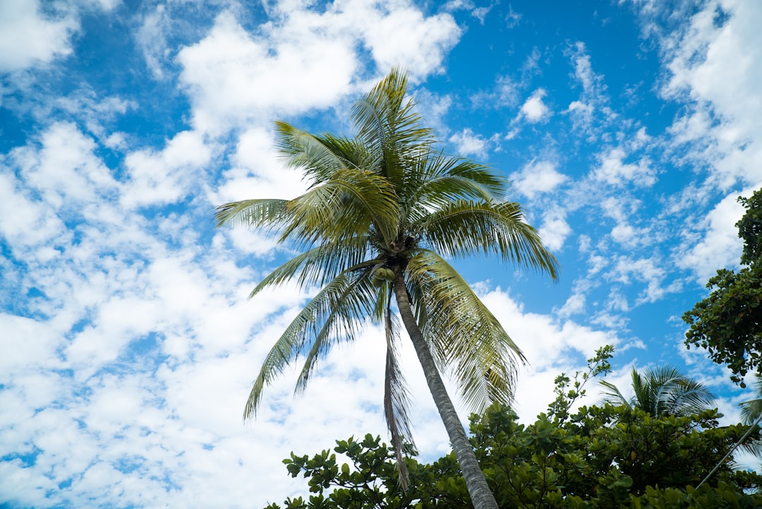 Haiti