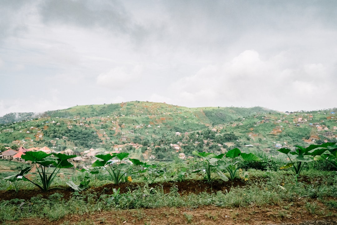 Sierra Leone