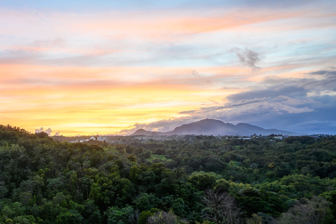 Dominica