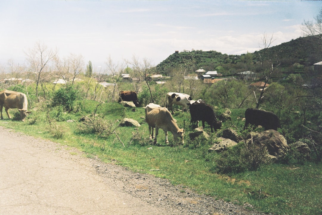 Armenien