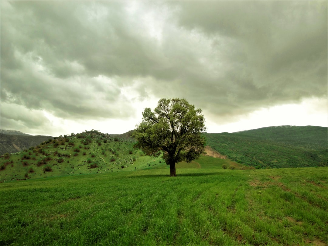 Iran