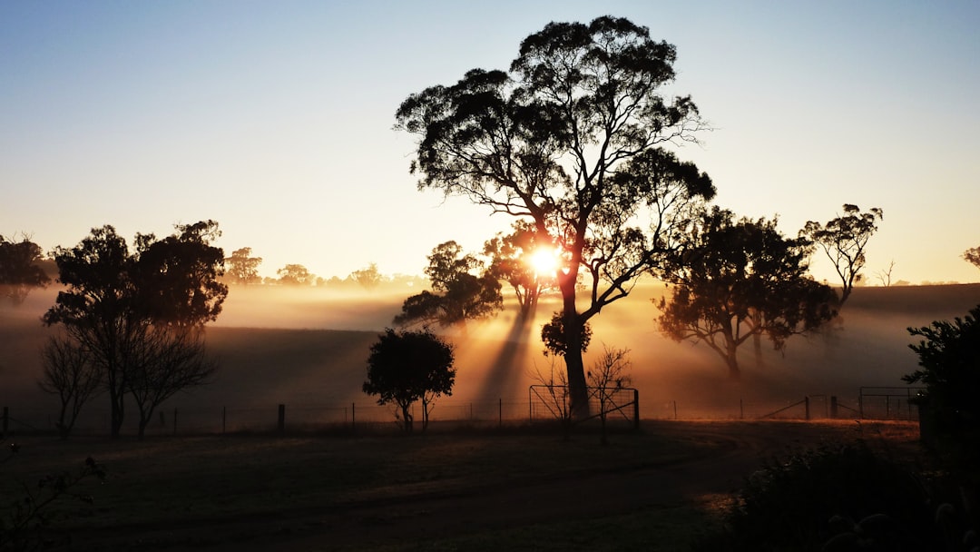 Australien