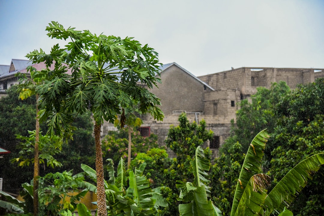 República Democrática do Congo